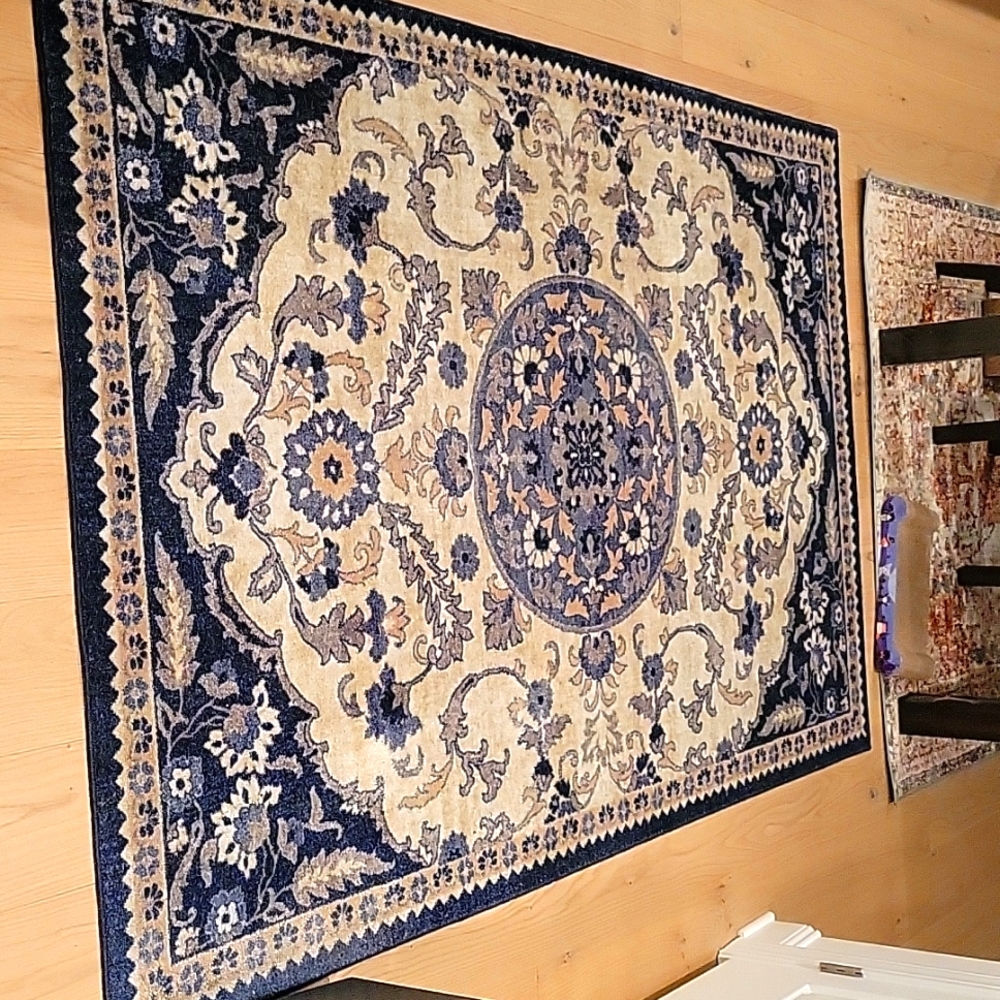 Shanay Oriental Grey/Navy Area Rug